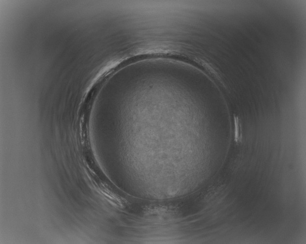 X0000050650723200506151609