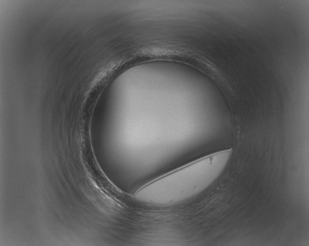 X0000050650732200506151609