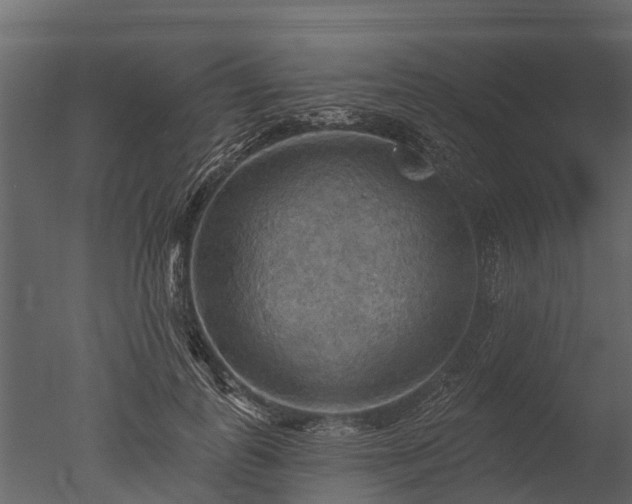 X0000050650747200506151609