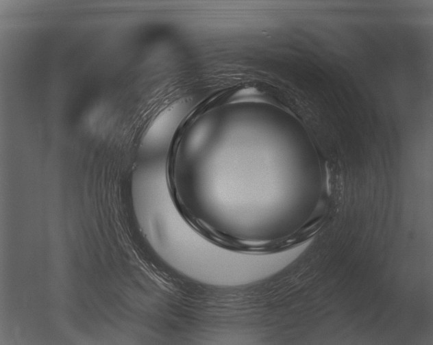 X0000050650750200506151610