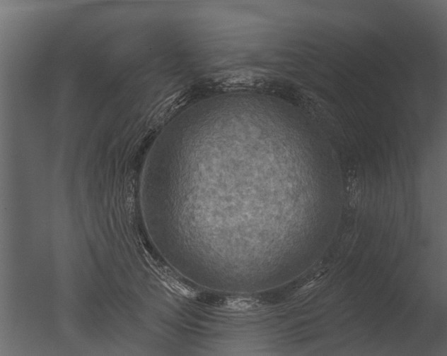 X0000050650753200506151610