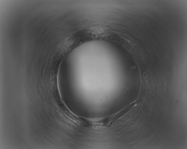 X0000050650756200506151610