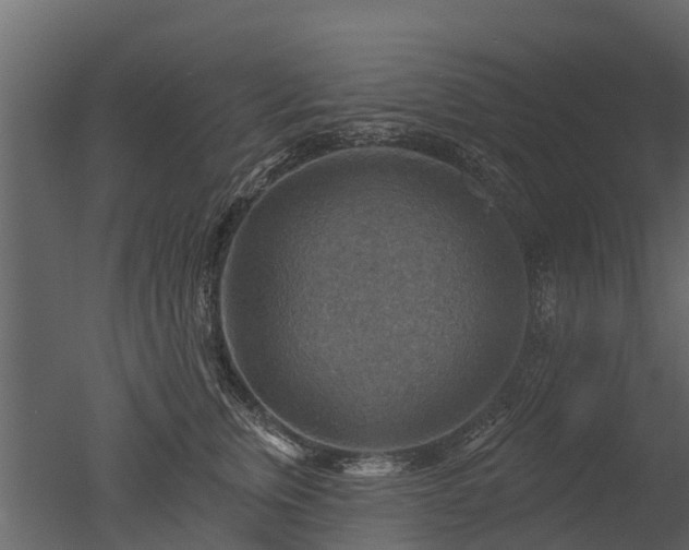 X0000050650759200506151610