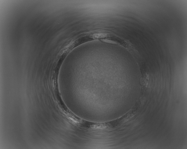 X0000050650763200506151610