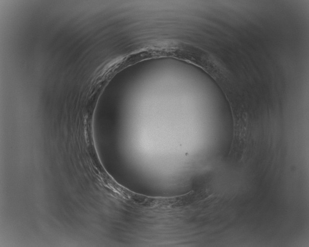 X0000050650773200506151609