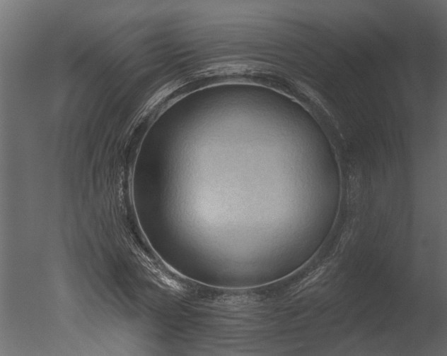 X0000050650778200506151609