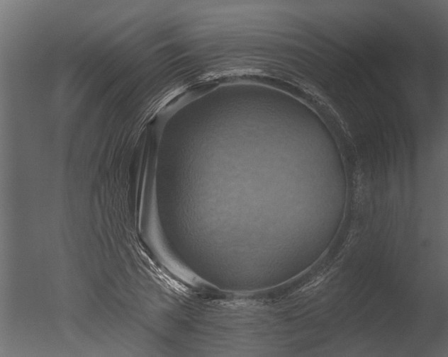 X0000050650785200506151609