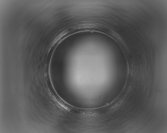 X0000050650786200506151609
