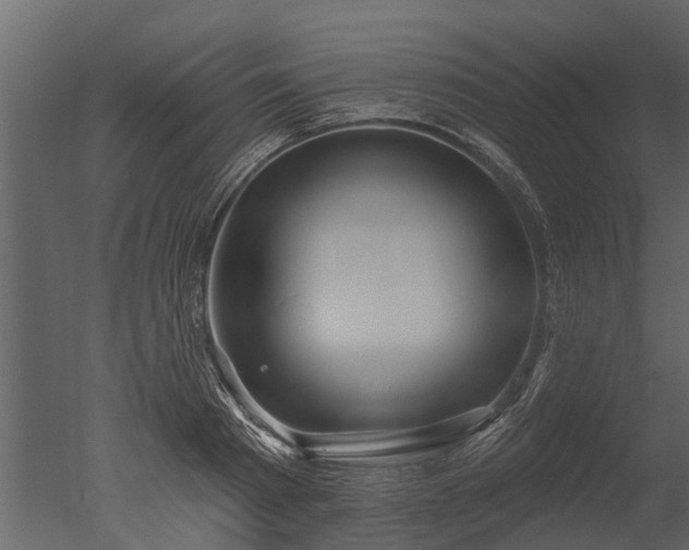X0000050650793200506151609