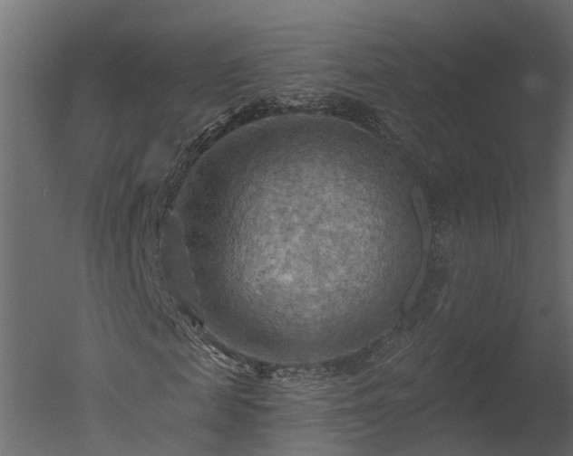 X0000050650817200506151607