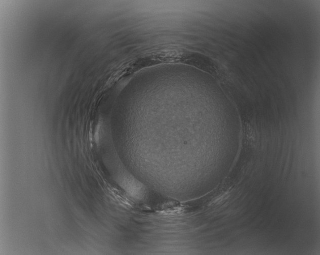 X0000050650818200506151607