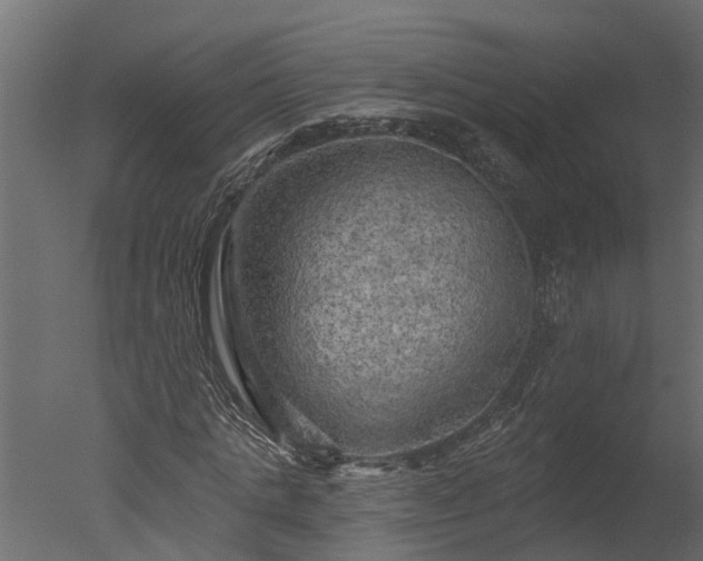 X0000050650821200506151607