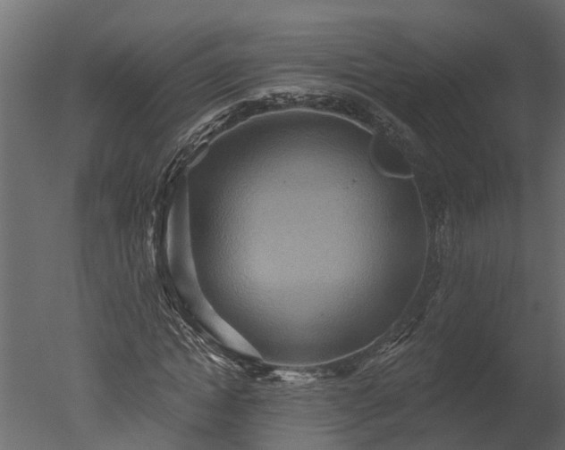 X0000050650822200506151607
