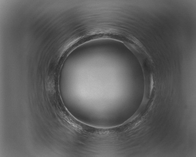 X0000050650826200506151608
