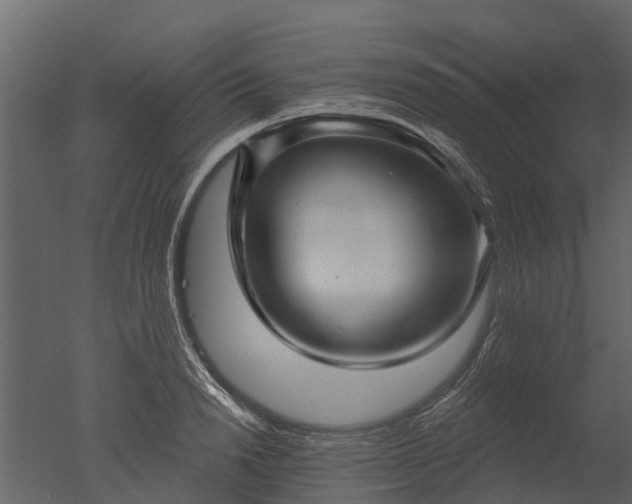 X0000050650846200506151608
