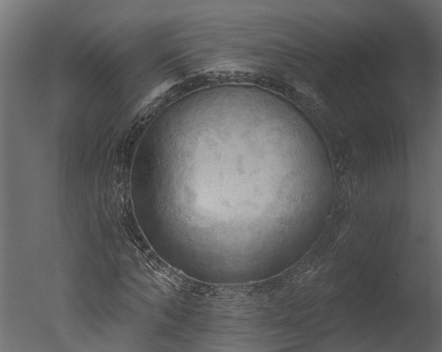 X0000050650870200506151607
