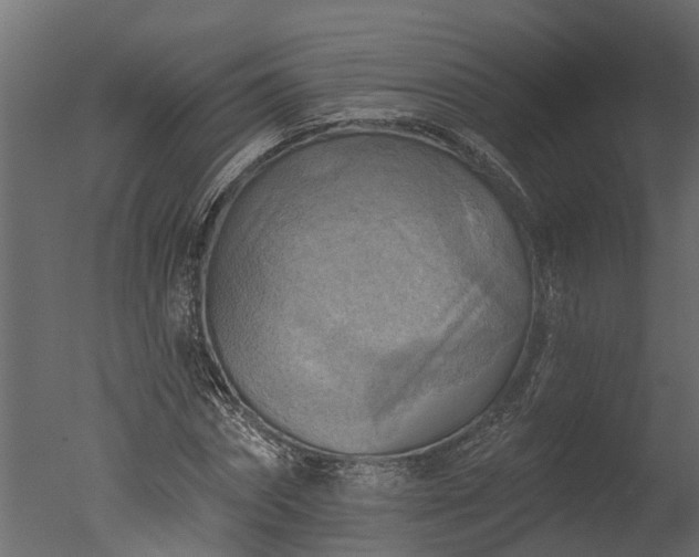 X0000050650874200506151607