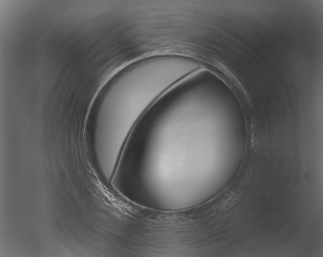 X0000050650876200506151607