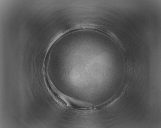 X0000050650893200506151607