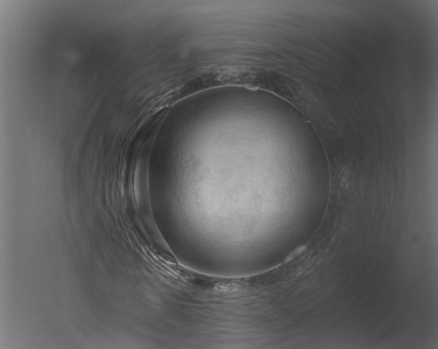 X0000050650914200506151606