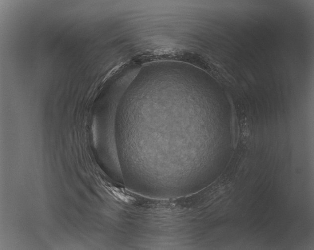 X0000050650916200506151606