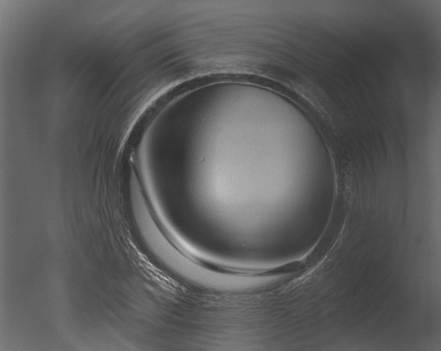 X0000050650926200506151606