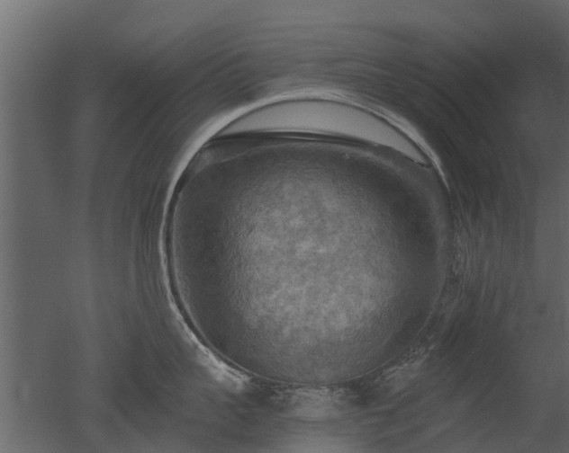 X0000050650959200506151607