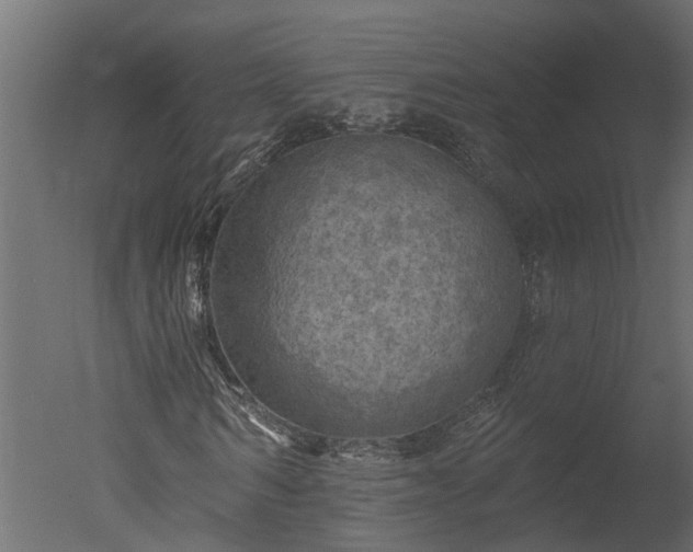 X0000050650962200506151606