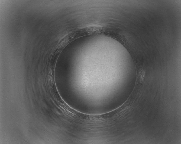 X0000050650964200506151606