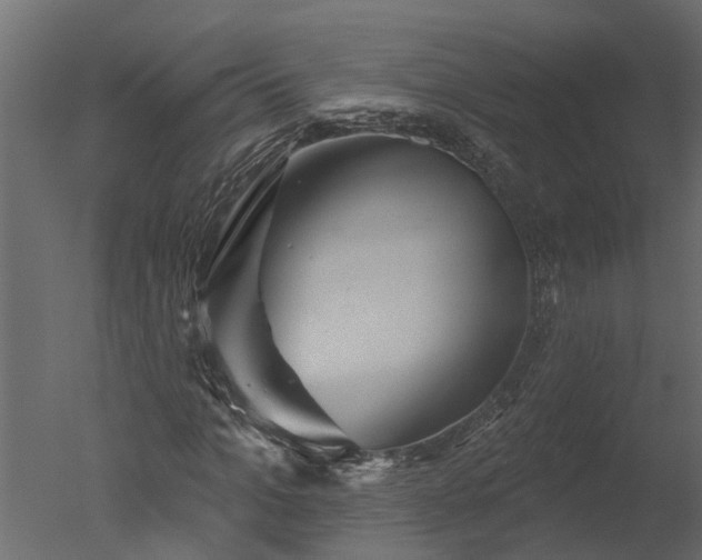 X0000050650965200506151606