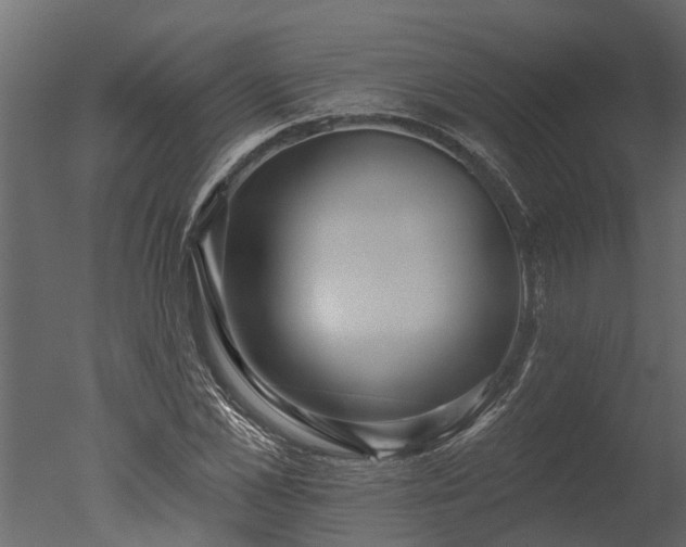 X0000050650973200506151606