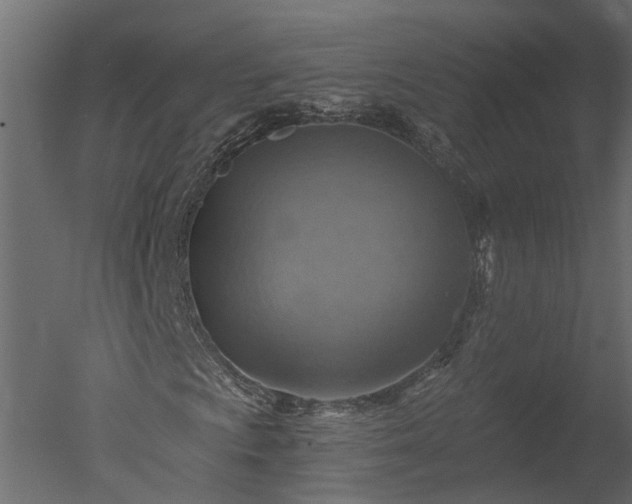X0000050651009200506151604