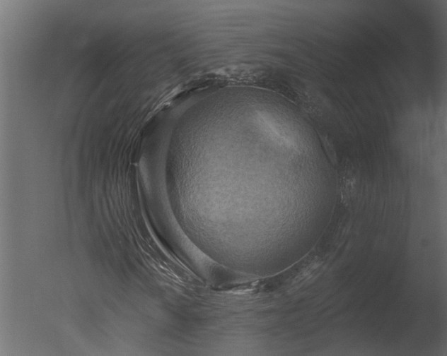 X0000050651010200506151604