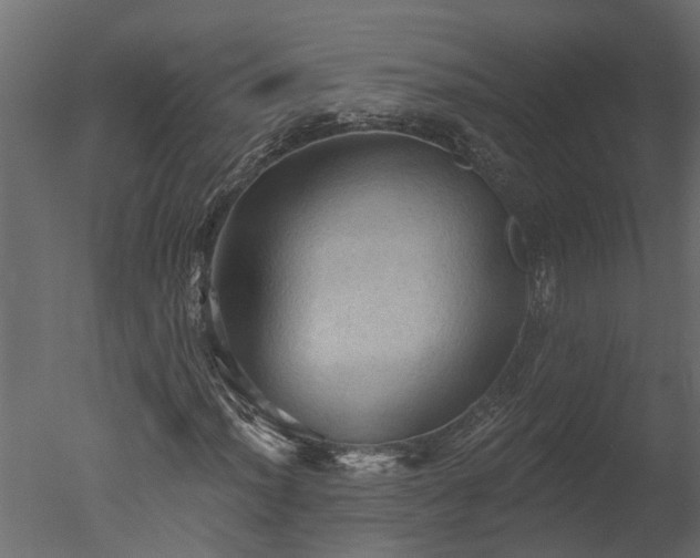 X0000050651012200506151604