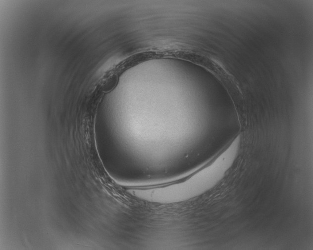 X0000050651016200506151604