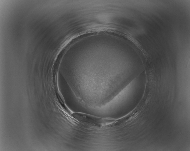 X0000050651023200506151604