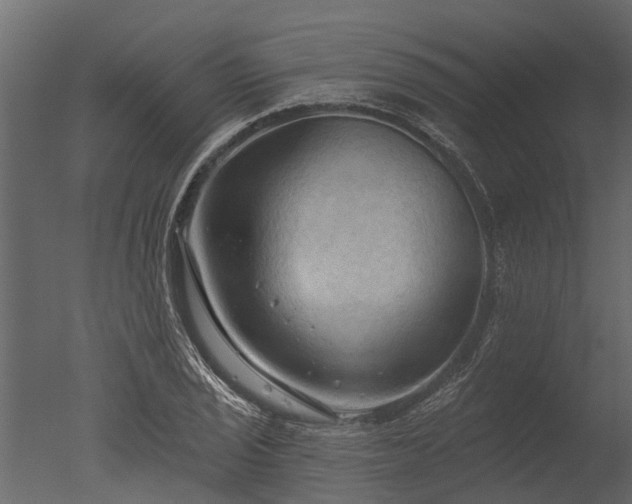 X0000050651029200506151604