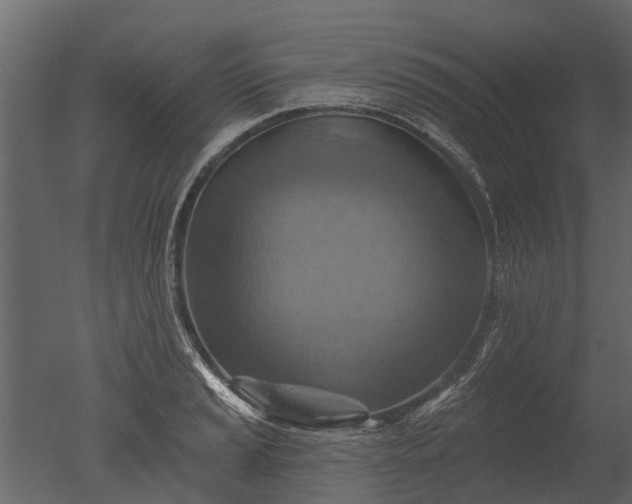 X0000050651037200506151605