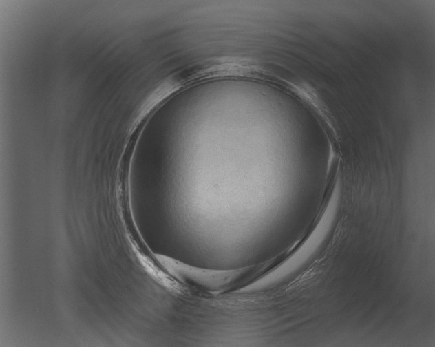 X0000050651042200506151605