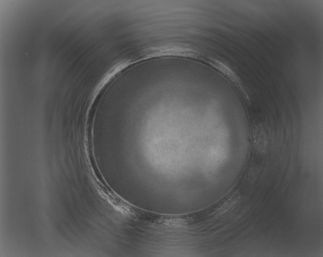 X0000050651043200506151605