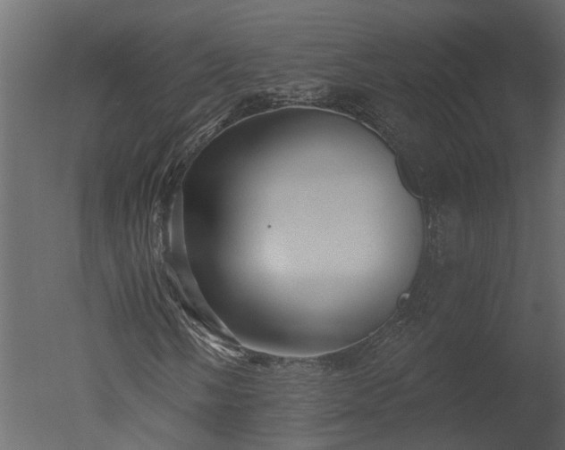 X0000050651058200506151604