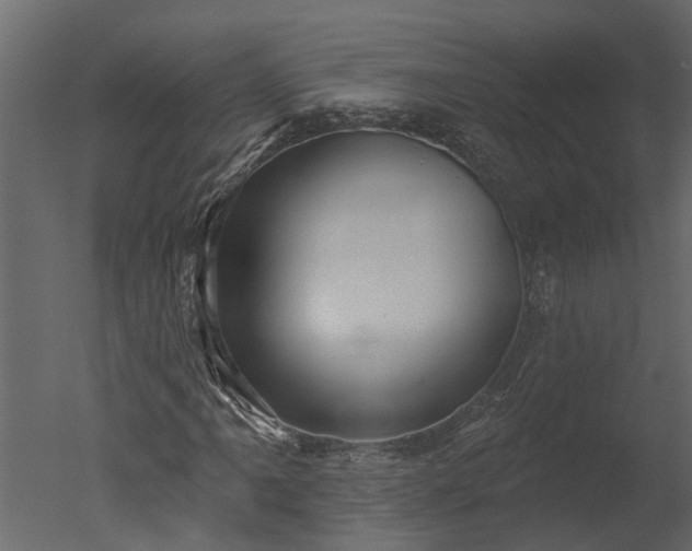 X0000050651061200506151604