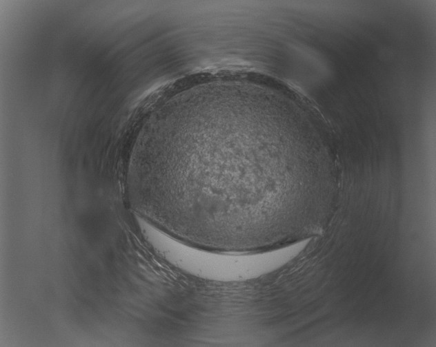 X0000050651063200506151604