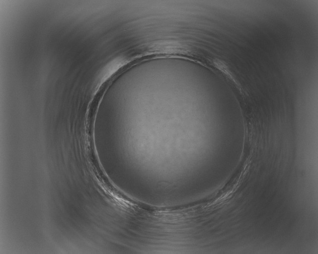 X0000050651071200506151604