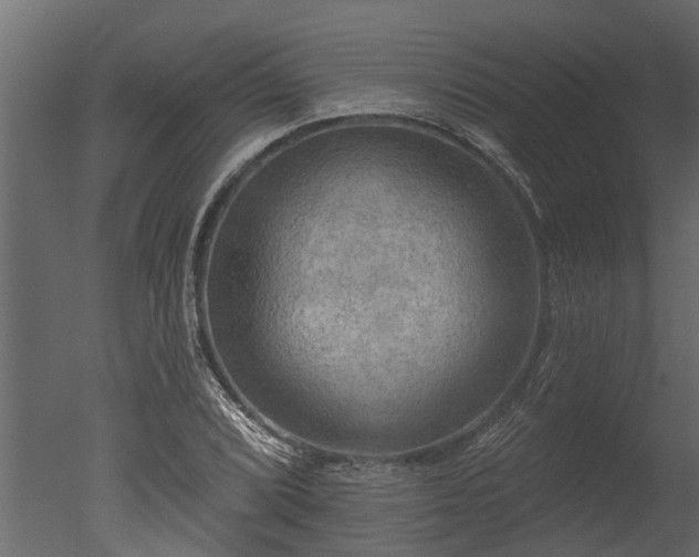 X0000050651072200506151604