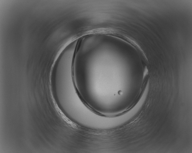 X0000050651091200506151604
