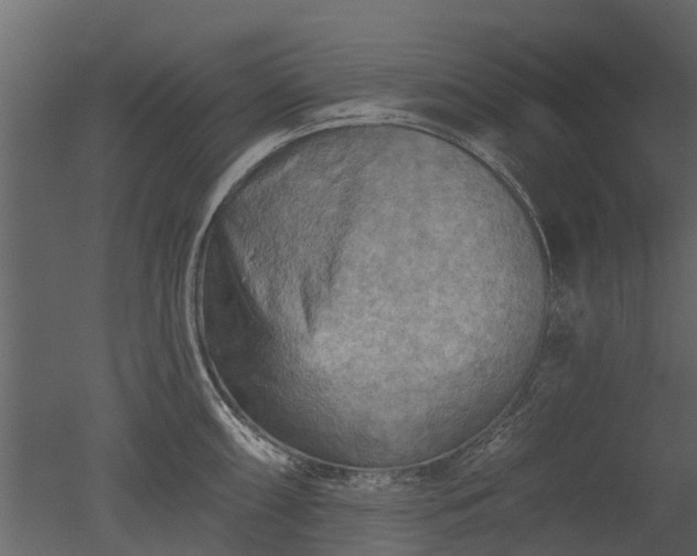 X0000050651098200506151603