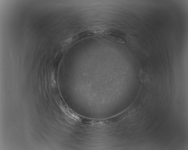 X0000050651106200506151602