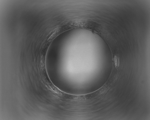 X0000050651107200506151603