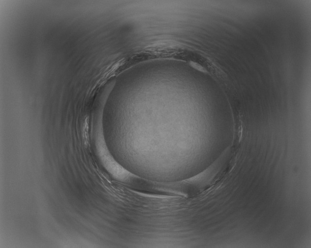 X0000050651108200506151603